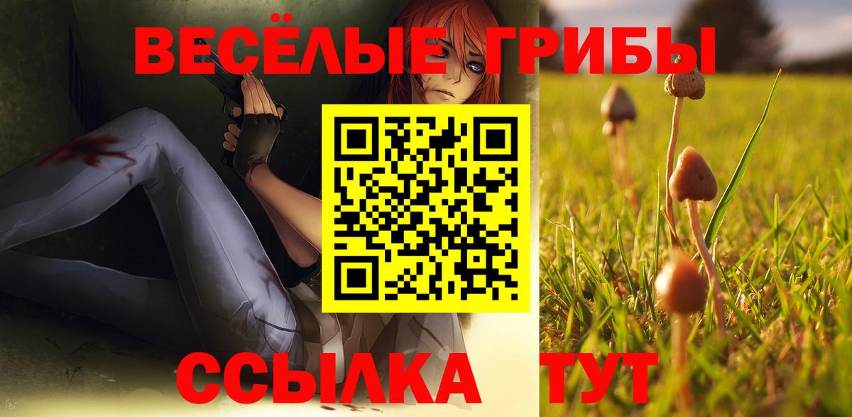 Псилоцибиновые грибы прущие грибы Обь